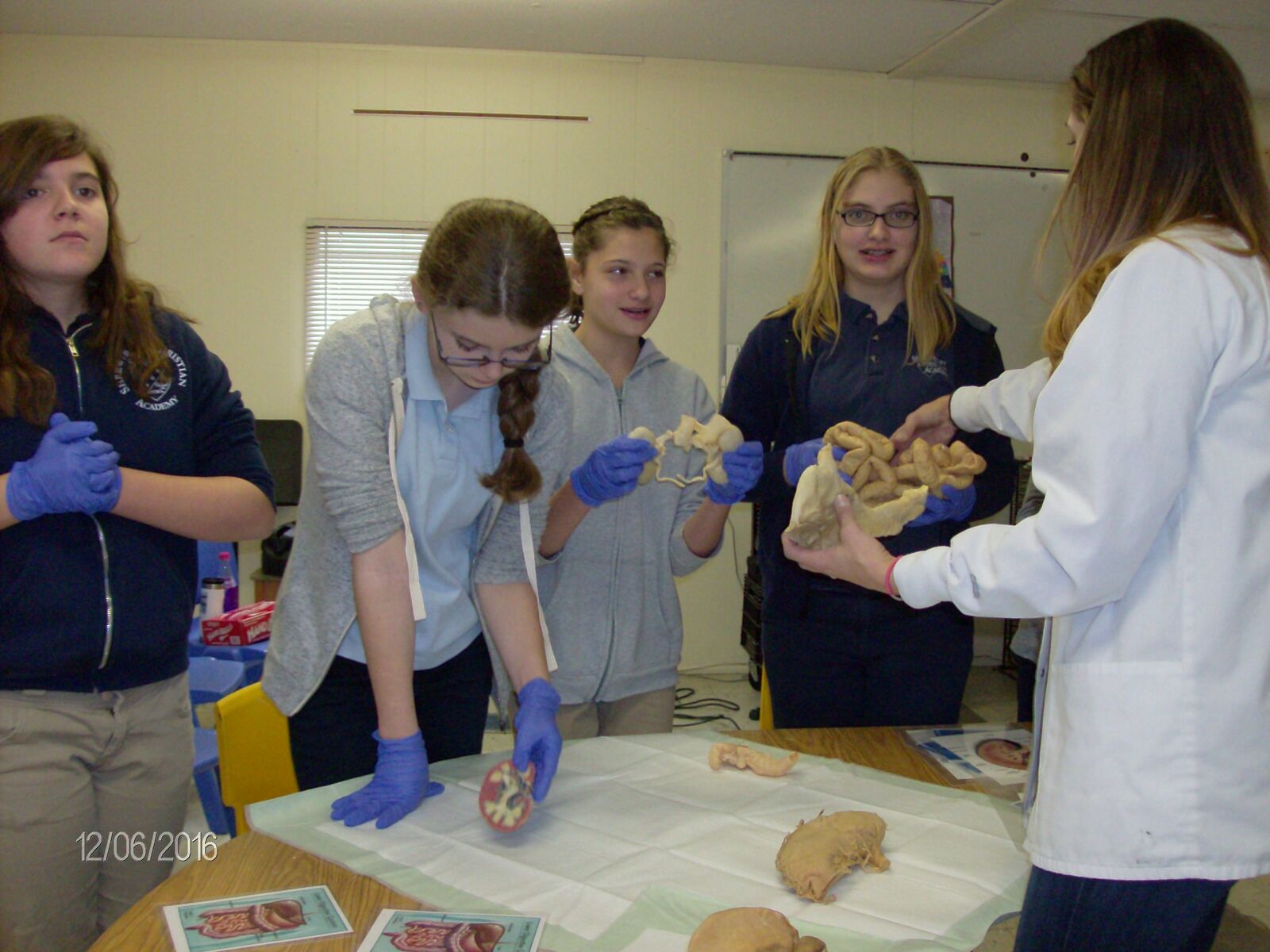 Students conducting a dissection