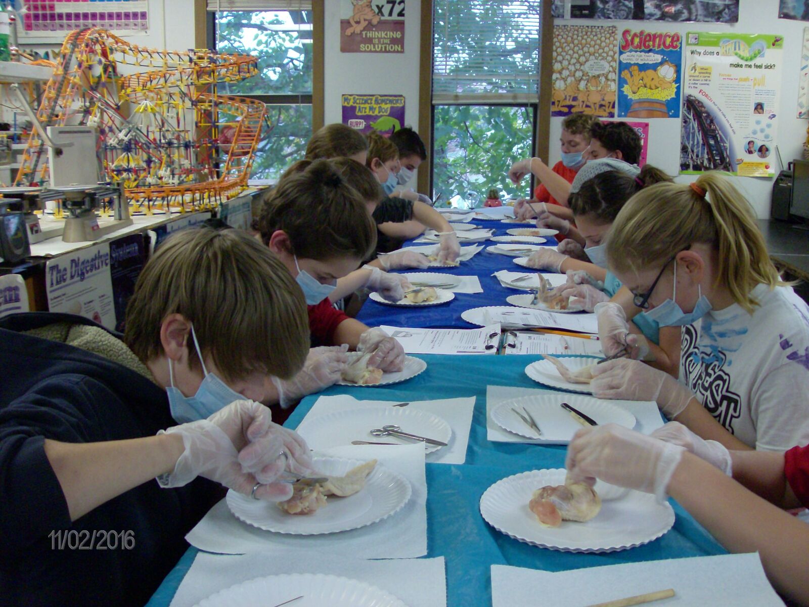 Students in the science lab